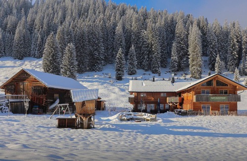 Mittelberg Apartment | Vacation apartment Alpenraum - Naturzeithof