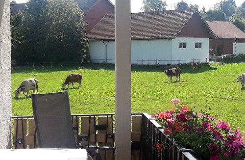 Peiting Apartment | Vacation apartment/apartment for 3 guests with 35m² in Peiting (114737)
