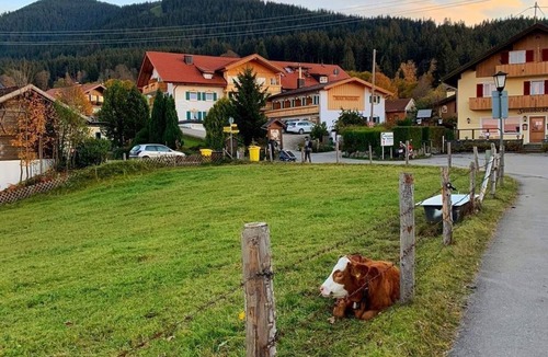 Sonnen Apartment | Vacation apartment no. 15 (for 2 pers.) - Wellnesshotel Waldruh
