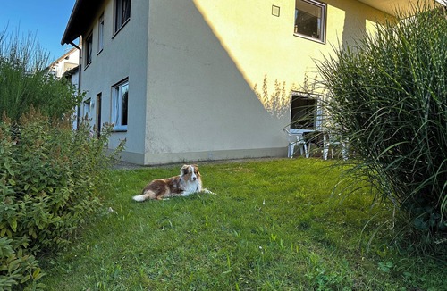 Sendelbach Apartment | Vacation apartment Am Romberg