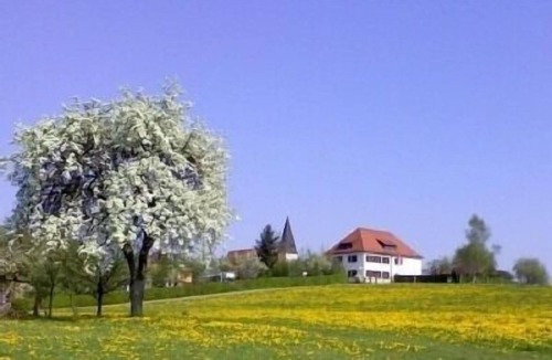 Prackenbach Apartment | Vacation apartment/apartment for 4 guests with 60m² in Prackenbach (272039)
