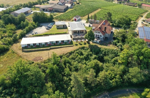 Sommerhausen Apartment | Vacation apartment "Scheurebe" (45sqm)