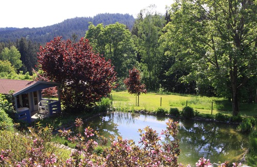 Frauenau Apartment | Vacation apartment in "Almlage" directly at the national park