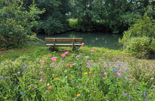 Reuth Apartment | Vacation apartment "Wiesentblick"