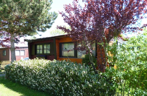 Ostercappeln House | Vacation home for 4 guests with 68m² in Ostercappeln (131066)
