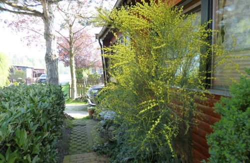 Ostercappeln House | Vacation home for 4 guests with 68m² in Ostercappeln (131066)