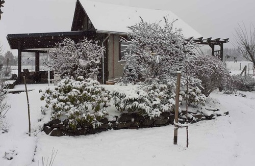 Meschede House | Vacation home in a secluded location in the Sauerland, with dog