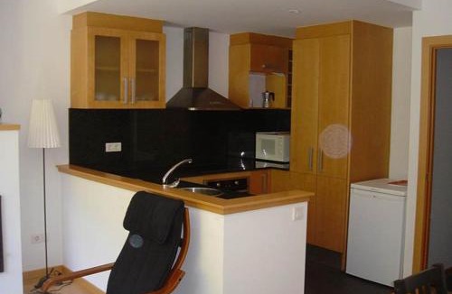 Alt Aneu Apartment | Valencia de Aneu TP