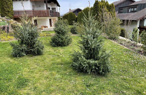Engen Apartment | Very large, family-friendly vacation apartment in Hegau with 4 double bedrooms