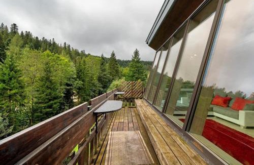 Freudenstadt Apartment | Villa Eichwald - Schwarzwaldloft