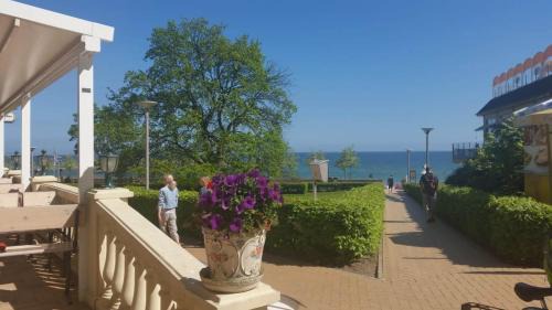 Gohren Apartment | Villa Mia Wohnung Nr 5 mit kleinem Balkon 1 OG 2 Raum Wohnung