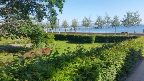 Gohren Apartment | Villa Mia Wohnung Nr 5 mit kleinem Balkon 1 OG 2 Raum Wohnung