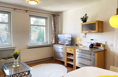 Lauta Apartment | Villa Seenswert, Germany