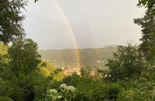 Bad Schandau Apartment | Villa Sonnenburg - Blick auf die Stadt und die Elbe - Parkplätze