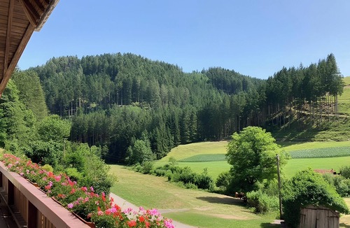 Hornberg Apartment | Waldbauernhof Double Room with Valley View, Balcony, Pets on Request
