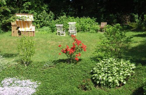 Schmilau Apartment | Waldblick