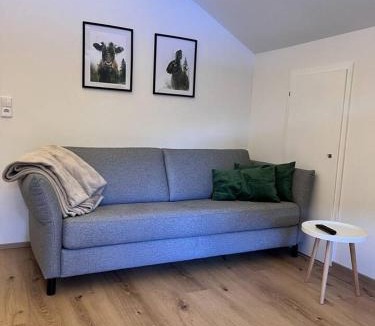 Gruenenbach Apartment | Waldesruh