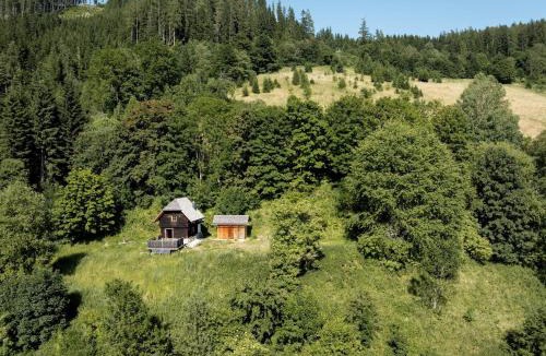 Praebichl Apartment | Waldhütte Stifthube