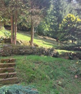 Bad Schandau Apartment | Waldvilla