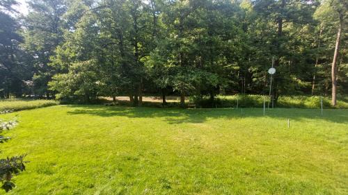 Bad Schandau Apartment | Waldvilla