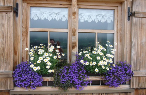 Oberstaufen Apartment | We are a partner of the "Oberstaufen-Pluskarte". See O'Staufen Plus Card