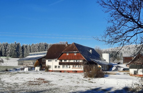 Sankt Georgen im Schwarzwald Apartment | Weideblick Apartment: Dog-Friendly, Nature Views, Garden Seating with Barbecue