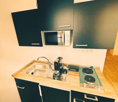 Mittelstadt Apartment | Wohngut-City Apt. 1 Zi. 1 DB + 1 EZ 34 qm mit Parkplatz