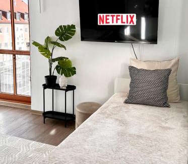 Wuerzburg Apartment | Wohnung Alte Mainbrücke - GRATIS KAFFEE - NETFLIX - BALKON