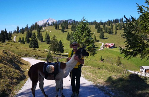 Schwaz Cabin | Yoga-retreat auf Almhütte mit Meditation und Ayurvedischer Küche und Kräuterkurs