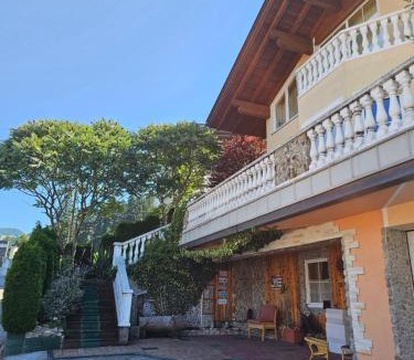Holdernach Apartment | Zilleralps Fewo