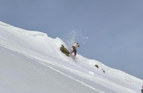Bruck am Ziller Apartment | Zillertal Alpenblick