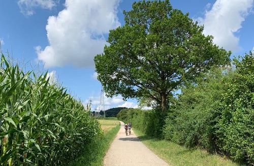 Starnberg House | Zimmer mit Bergblick