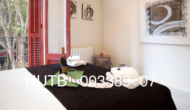 066. Borrell Nice and Big Apartment