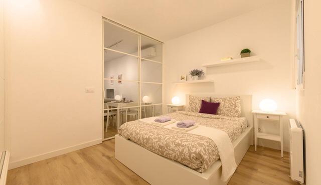 1 bedroom flat in the centre of Madrid