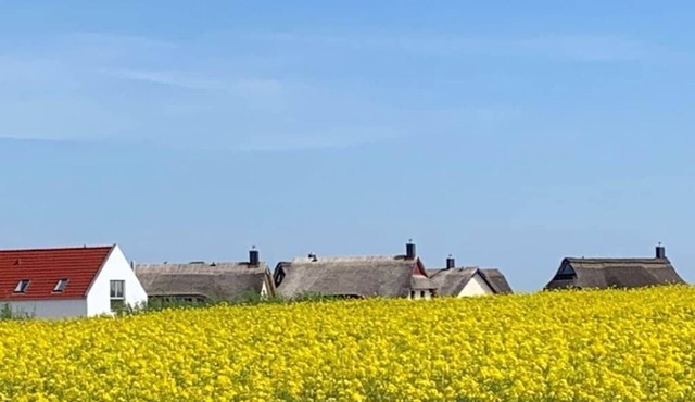 1-bedroom holiday home