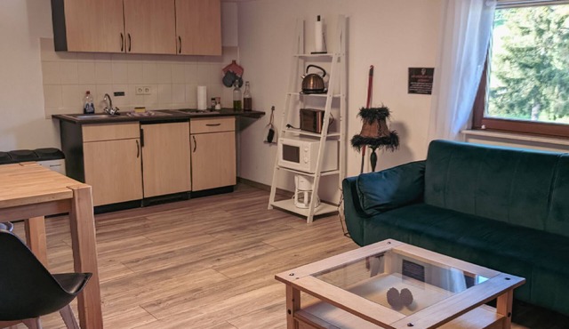 1 Holiday apartment Zum Wilden Michel