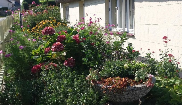 2 Raum-fewo Weststube 52 qm, im - Fischerhus 2 Raum-fewo