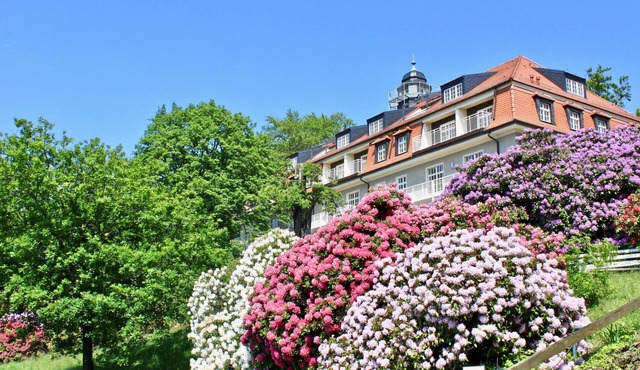5-Sterne (Deutscher Tourismusverband) - Erholung wie ein König - by Interhome