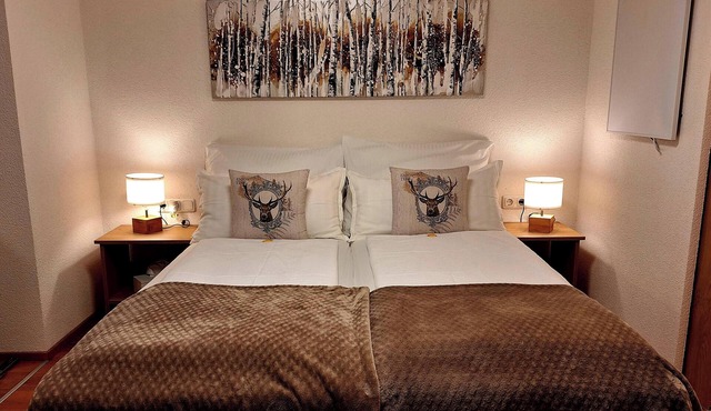 A small but charming apartment in one of Austria's most beautiful vacation regions