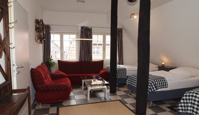 Amazing and Historical Apartment # 2