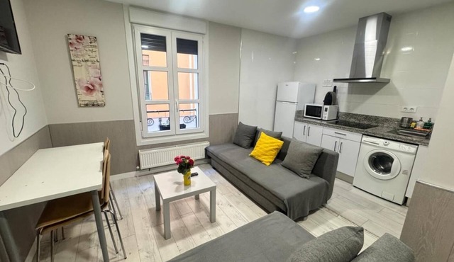 APARTAMENTOS LOGROÑO CENTRO