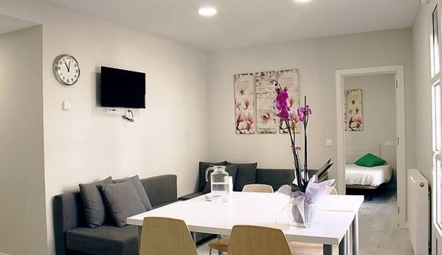APARTAMENTOS LOGROÑO CENTRO