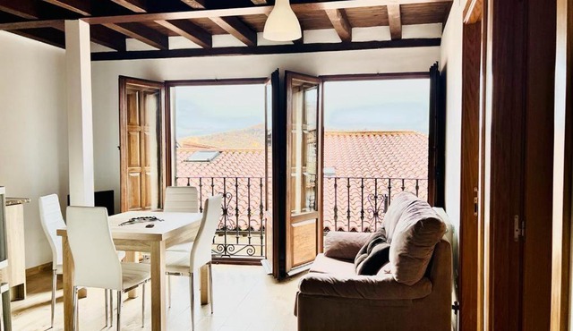 Apartamentos Raíces