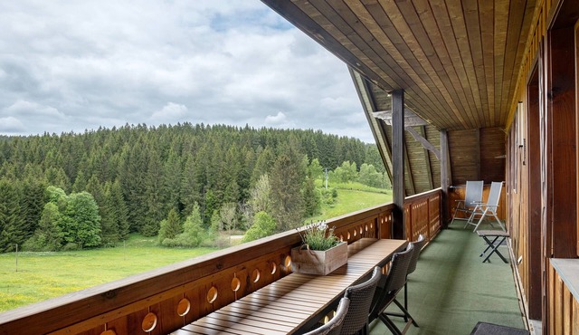 Apartment 'Schwarzwaldmädle' with natural pool, garden and Wi-Fi