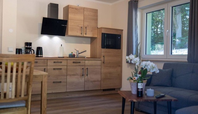 Apartment 9, 1 bedroom - Holiday apartments in the Waldhaus Sebnitz