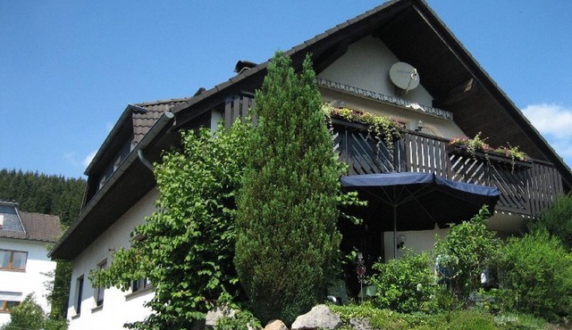 Apartment 'Am Patenberg' with Mountain View, Balcony and Wi-Fi