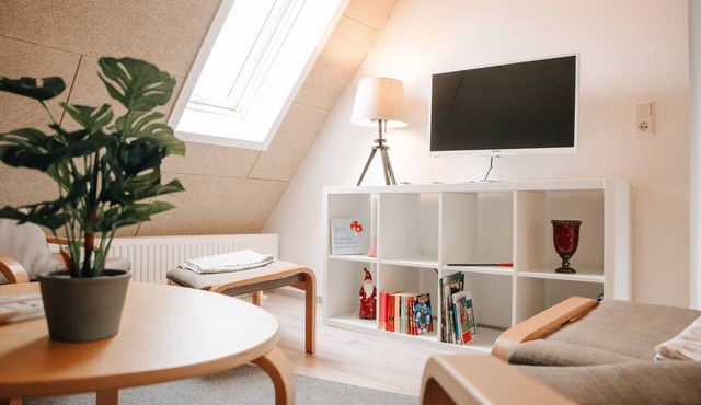 Apartment 'Ambiente Am Federsee Penthouse' with Wi-Fi