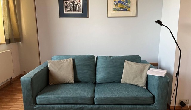 Apartment "Antonie", Bedsitter - Alte Scheune Rietzschelhof