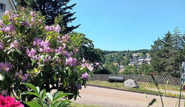 Apartment 'Brigachglück' with Shared Garden and Wi-Fi