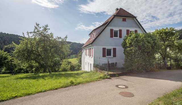 Apartment 'Ferienwohnung Schwarzwald Idyll' with Private Garden and Wi-Fi